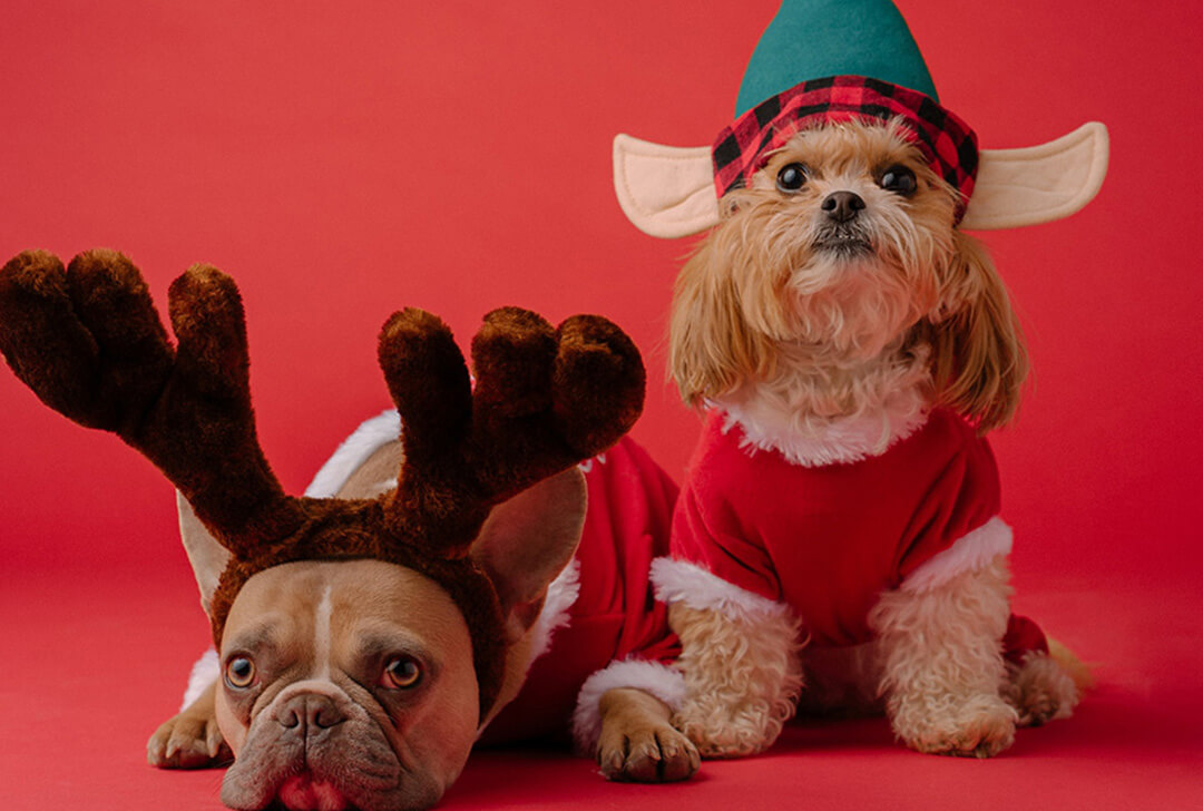 Teremts a családodnak új karácsonyi hagyományokat